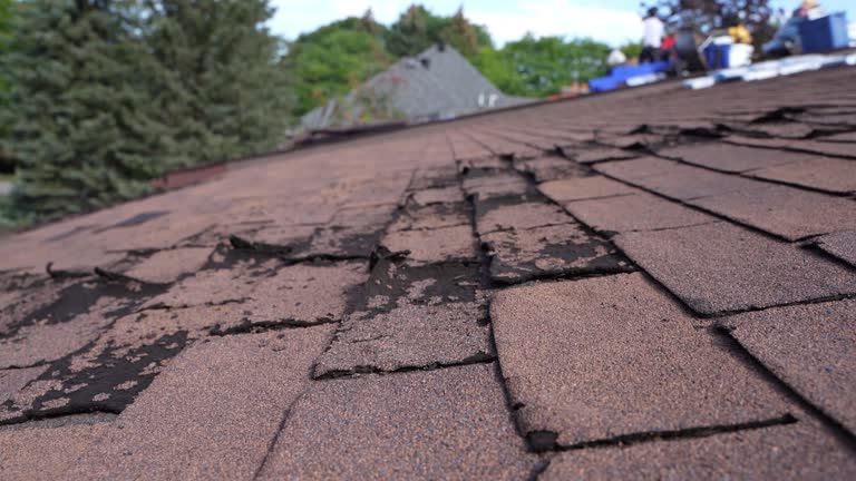 Best Roof Installation  in Cannon Beach, OR