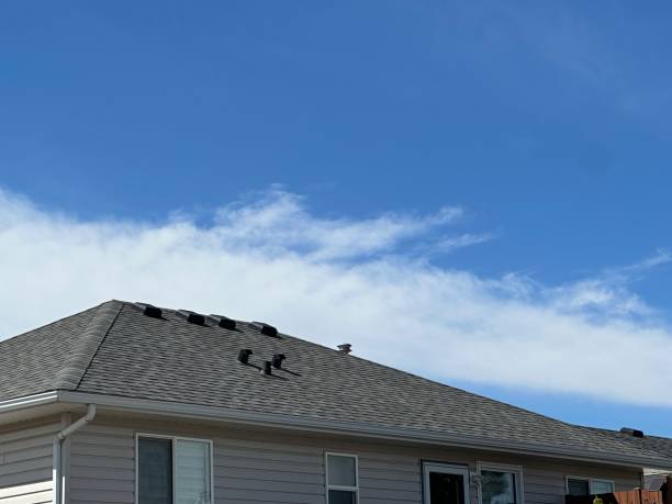 Best Roofing for New Construction  in Cannon Beach, OR